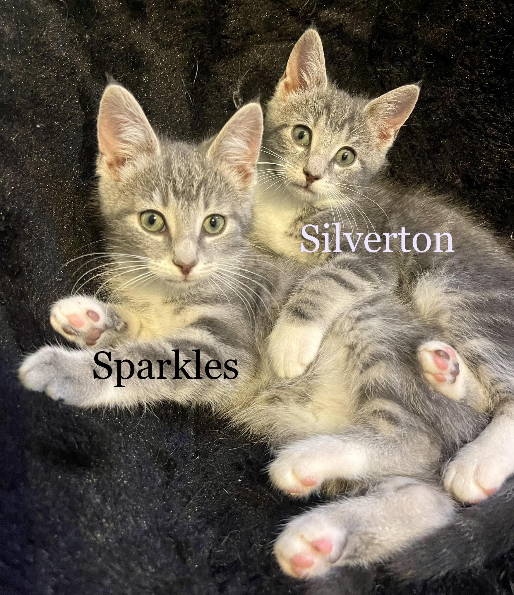 Silverton & Sarkles (brother & sister)