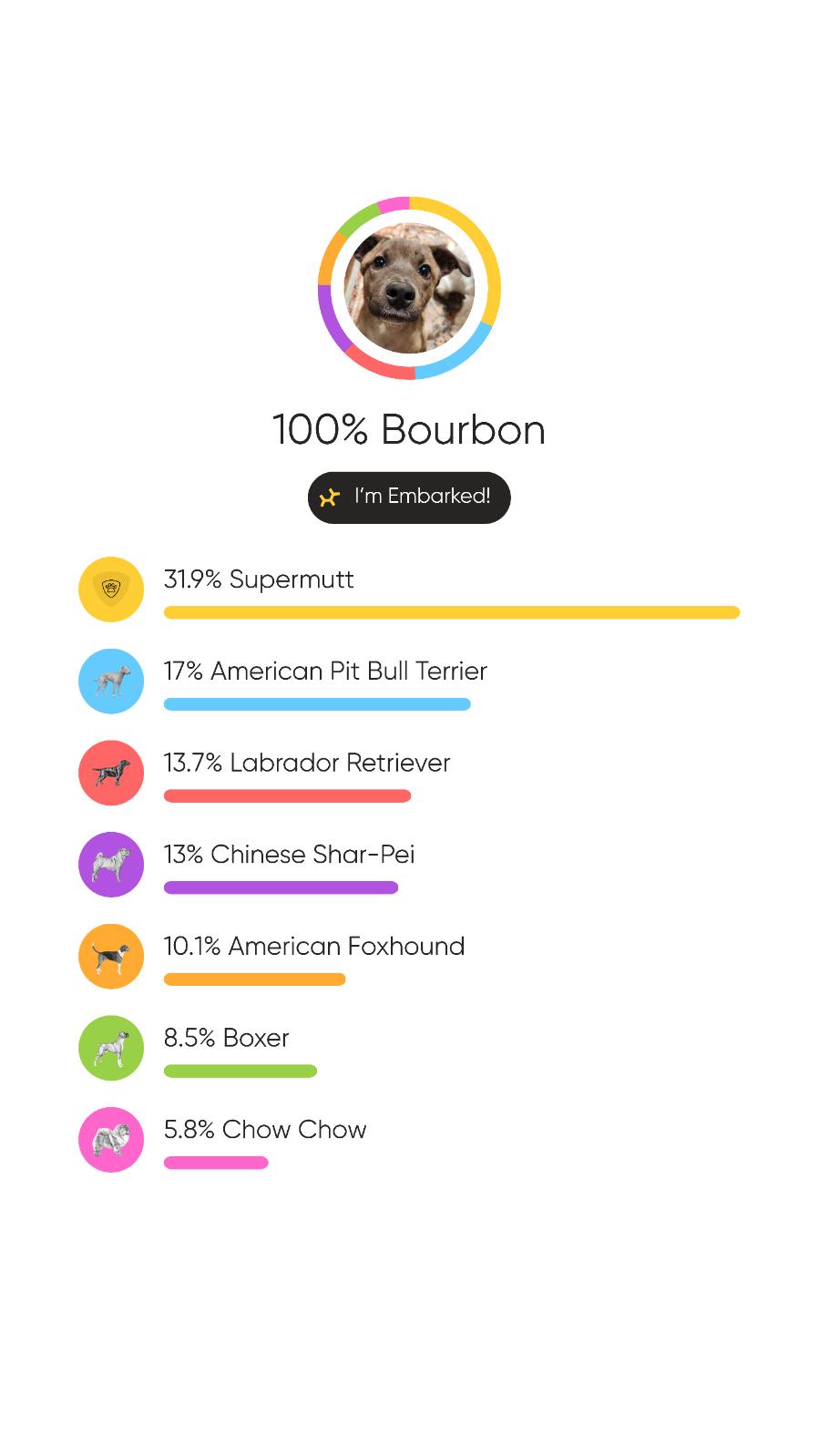 Enlarge Bourbon, a Adoptable mixed breed in Knoxville, TN image 6/6