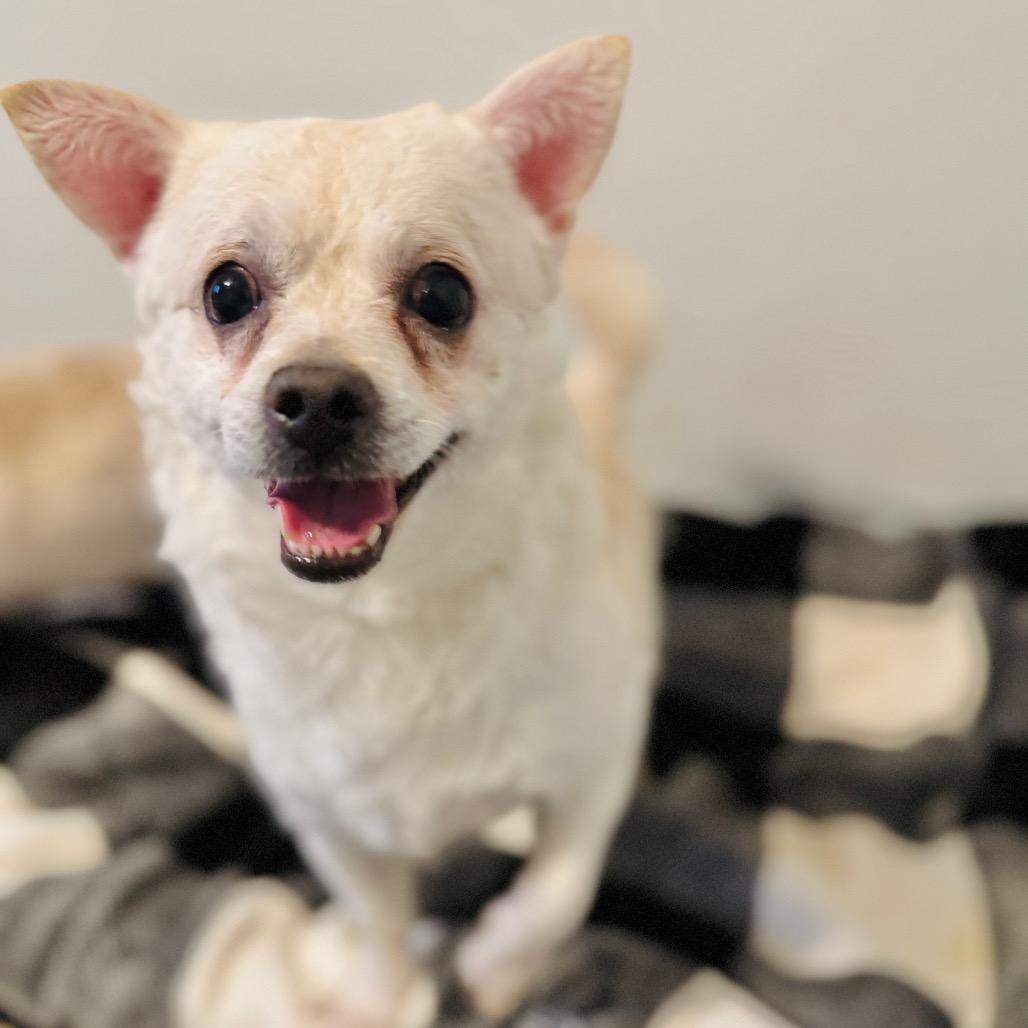 Jethro — thumbnail 5