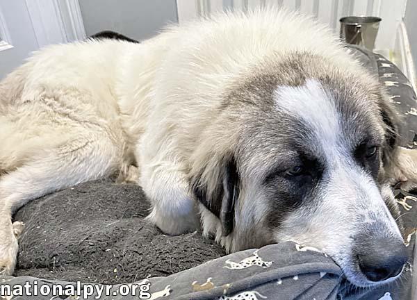 Bonnie in LA - Super Sweet & Loves Everyone!
