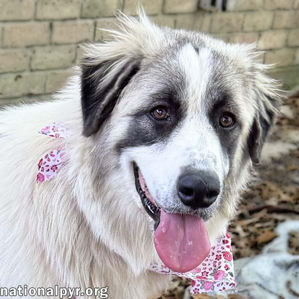Bonnie in LA - Super Sweet & Loves Everyone!