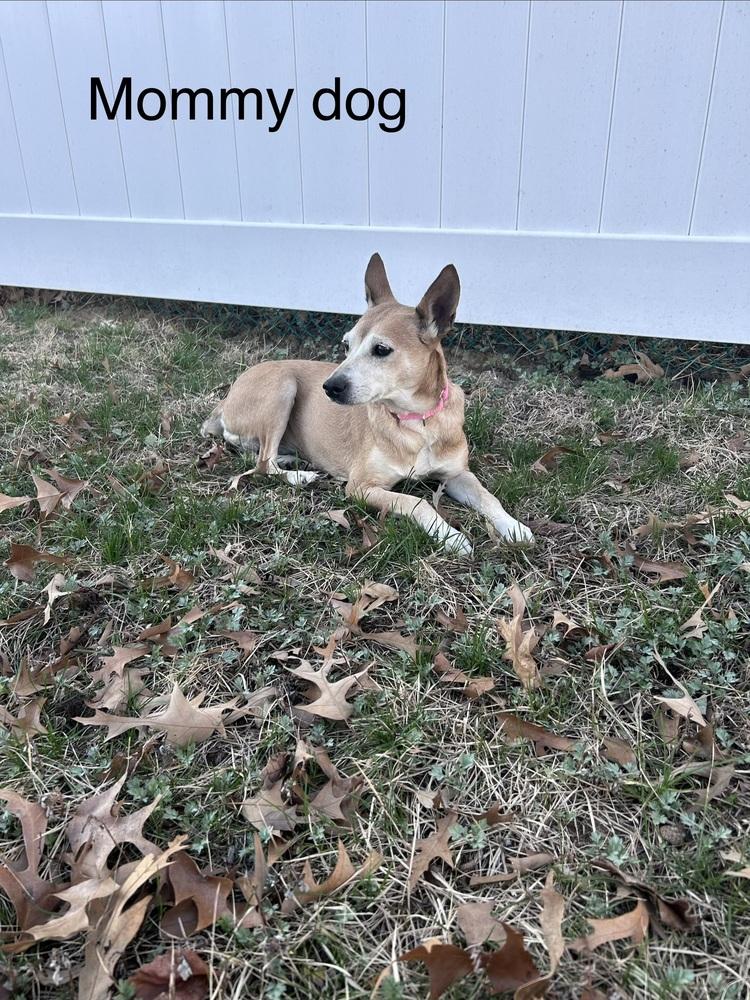 Ernie — thumbnail 2