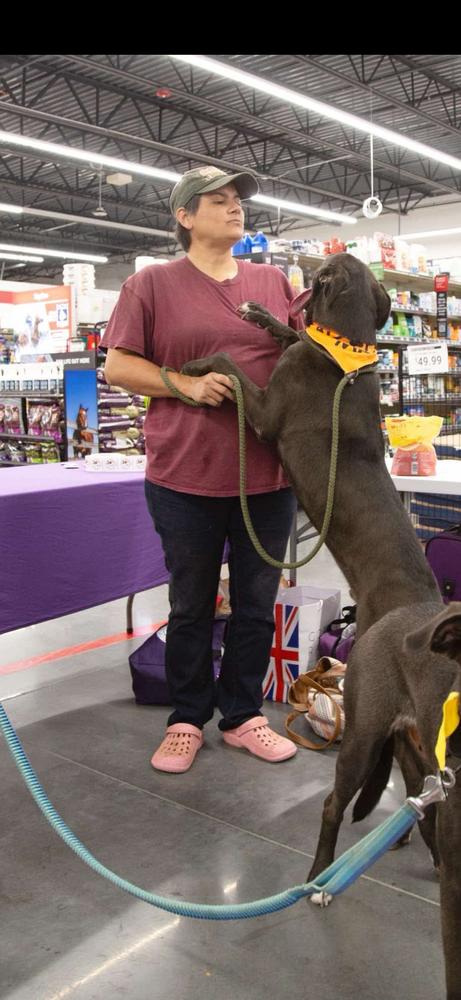 Enlarge Colby, a Adoptable mixed breed in Sealy, TX image 2/6