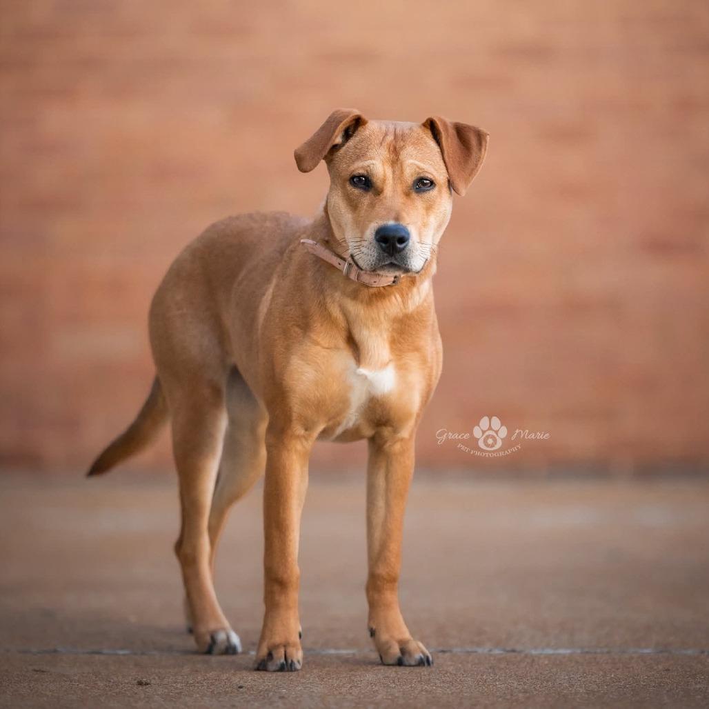 Glitterbug thumbnail 2