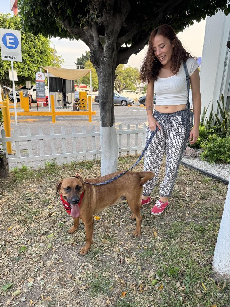 Cinnamon thumbnail 4