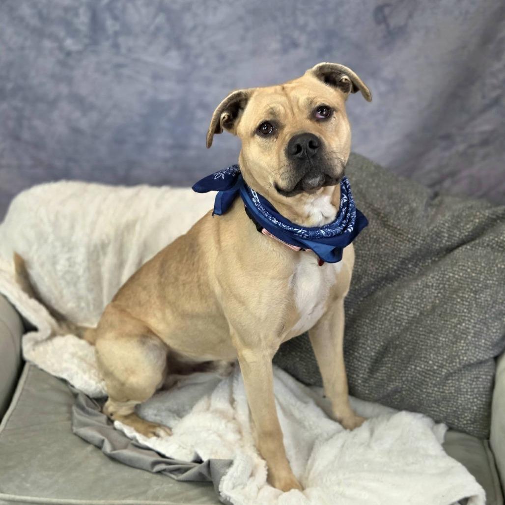 Sven Rto thumbnail 2