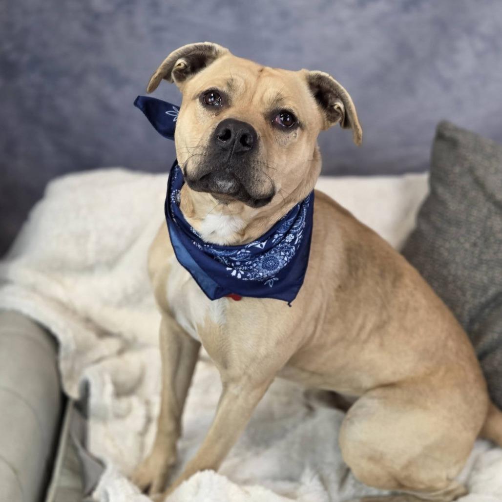 Sven Rto thumbnail 3