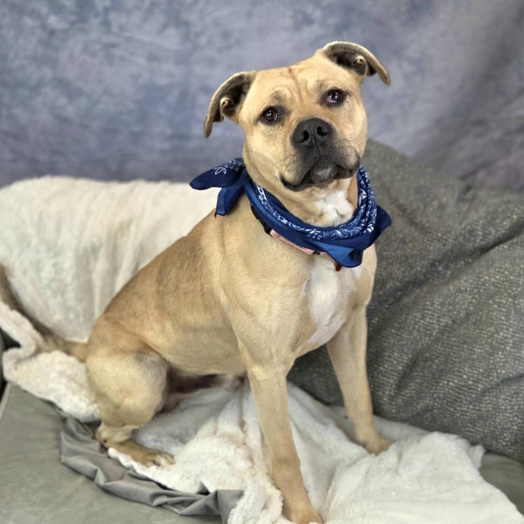 Sven Rto thumbnail 4