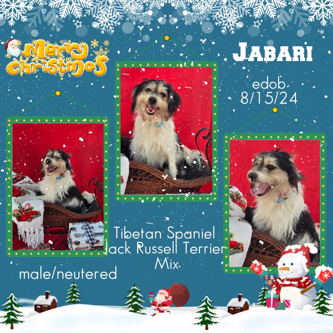 Jabari Wvt thumbnail 4