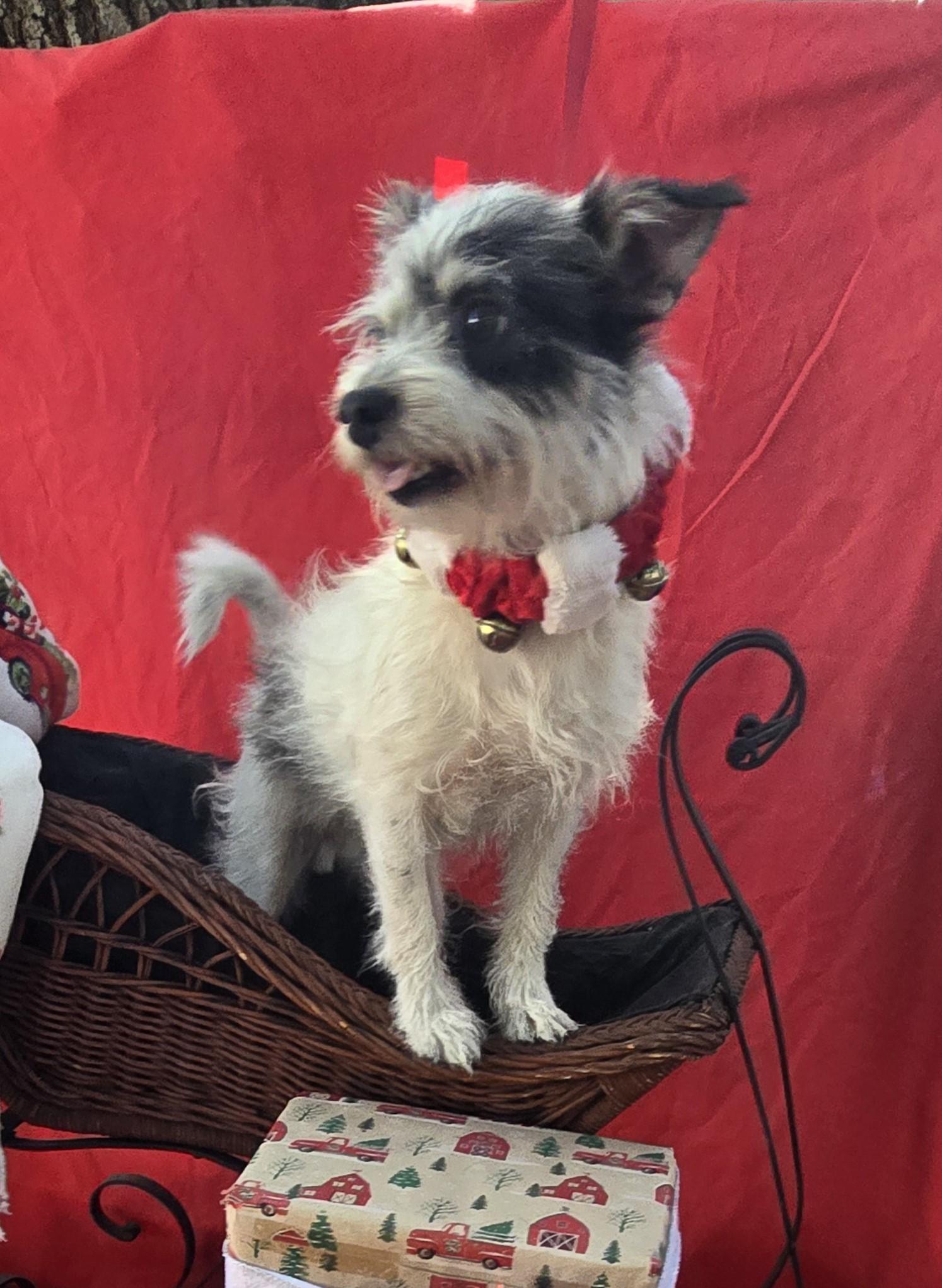 Jabari Wvt thumbnail 5