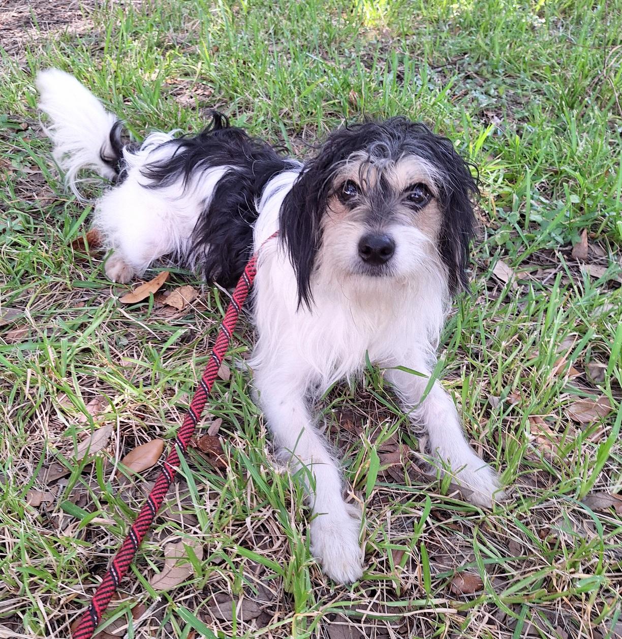 Jabari Wvt thumbnail 6