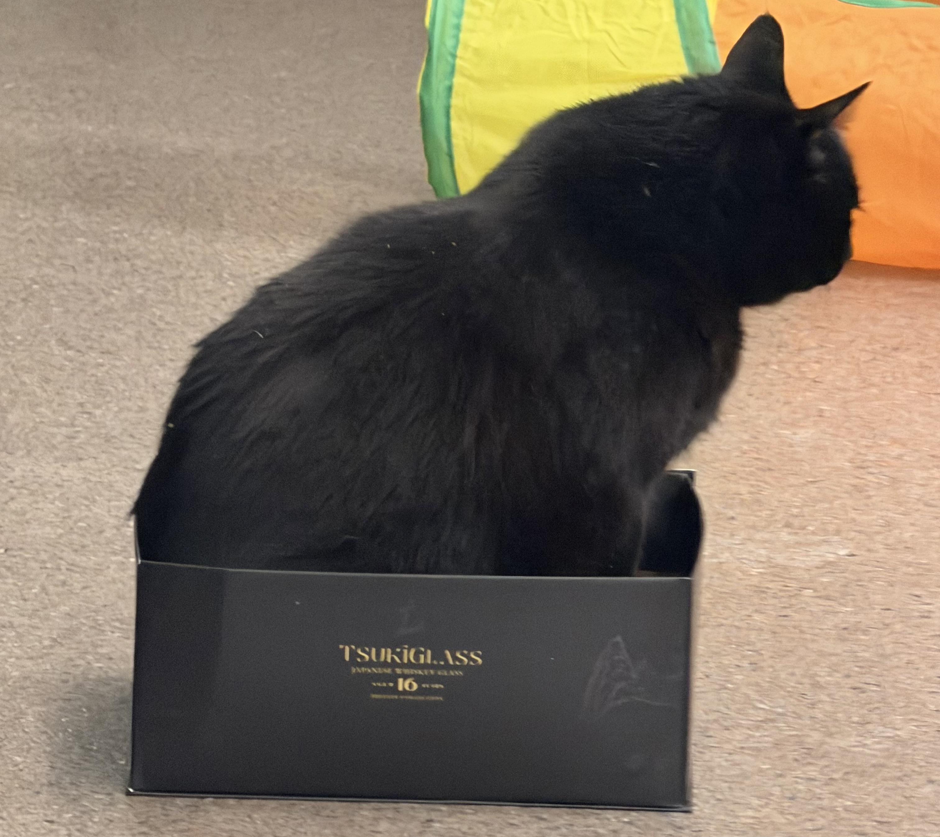 Clark — thumbnail 3