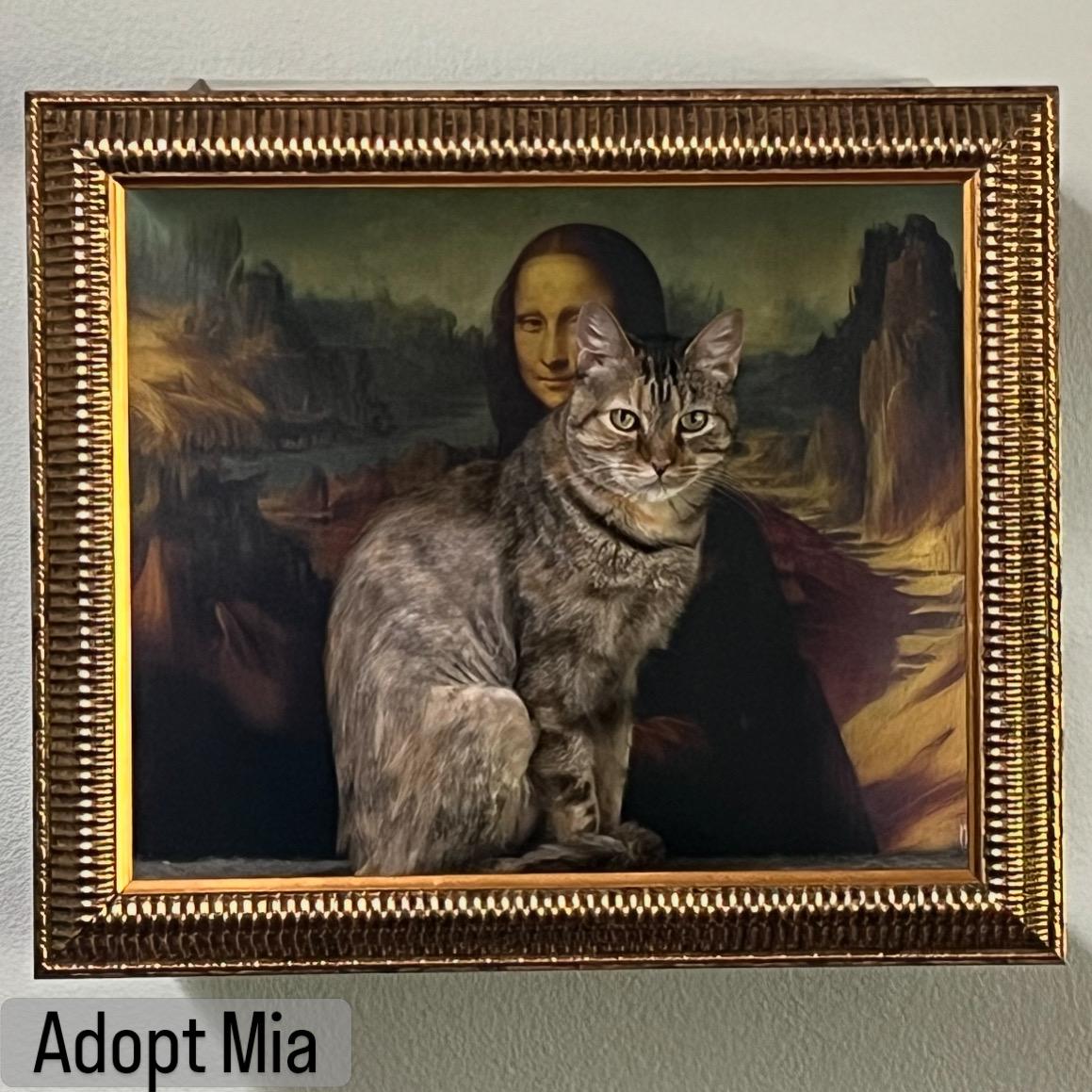 Enlarge Mia, a ADOPTABLE Tabby in Los Angeles, CA image 1/1