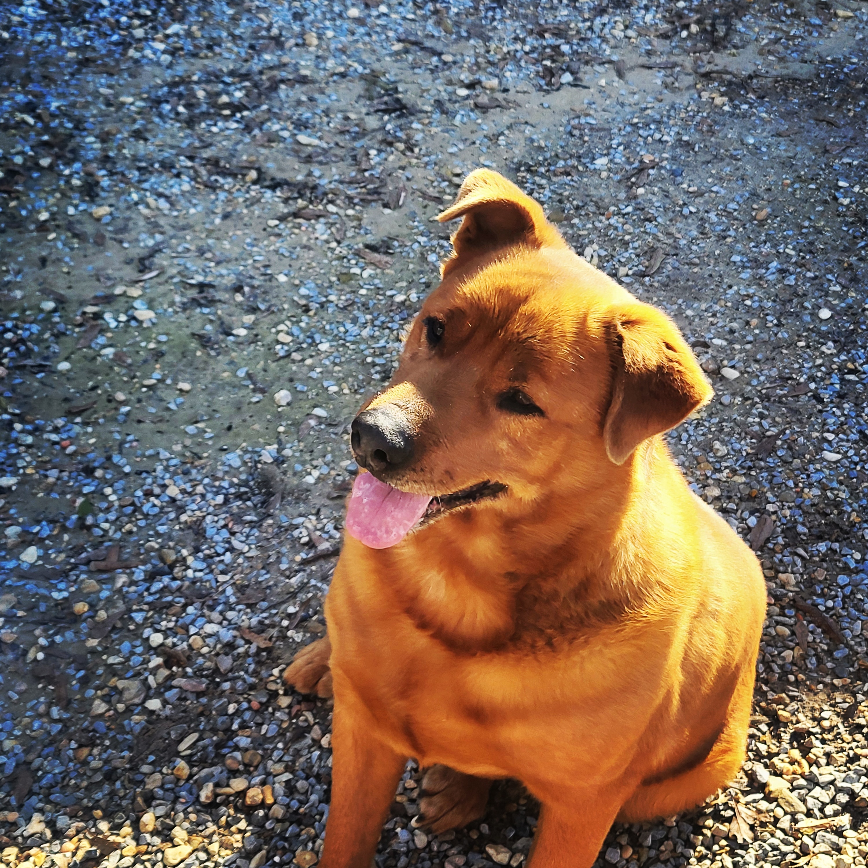 Ranger photo 1