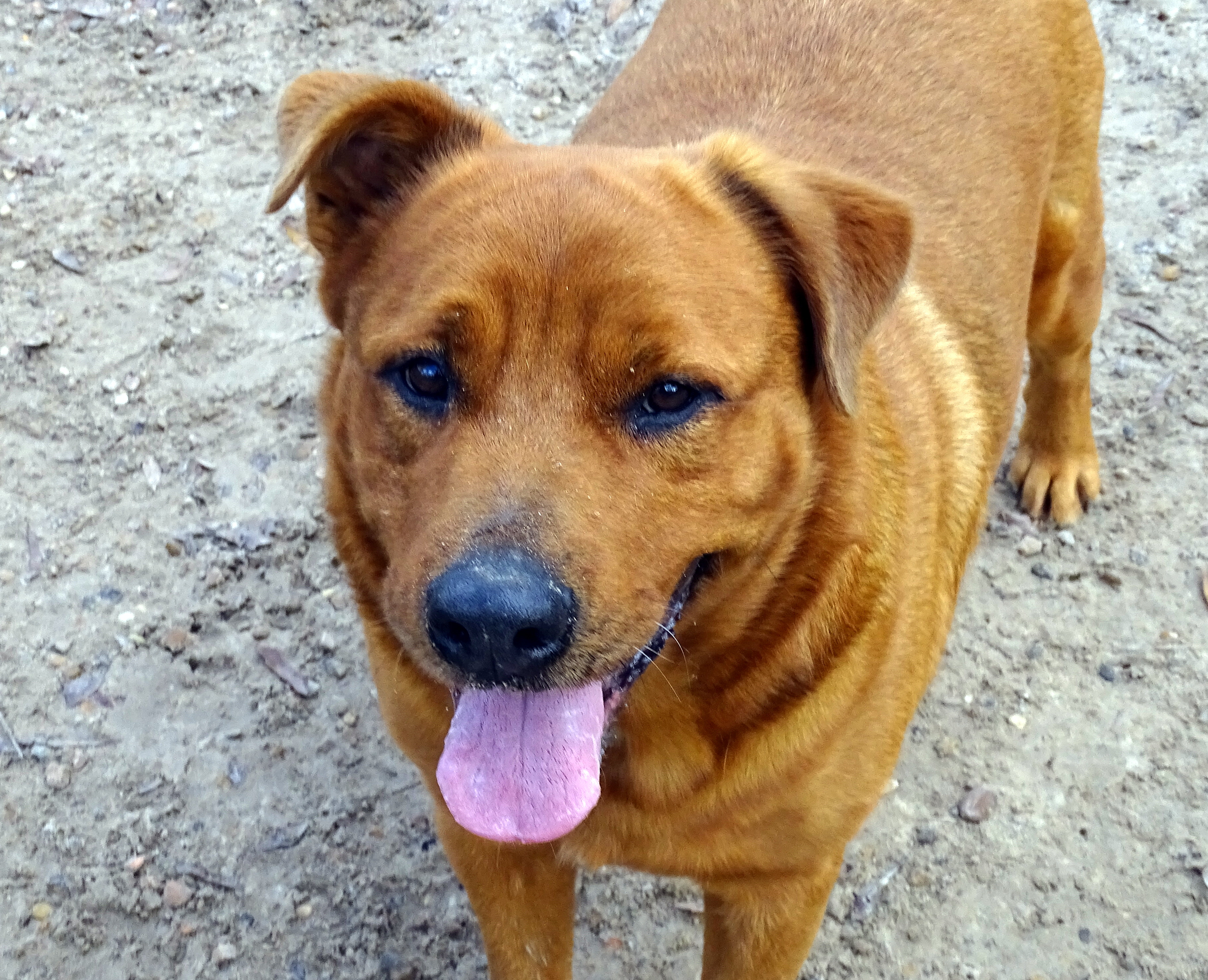 Ranger photo 3