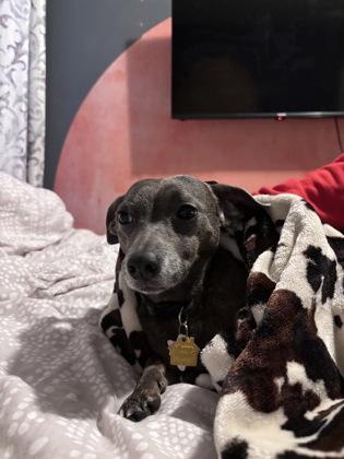 Dirk — thumbnail 3