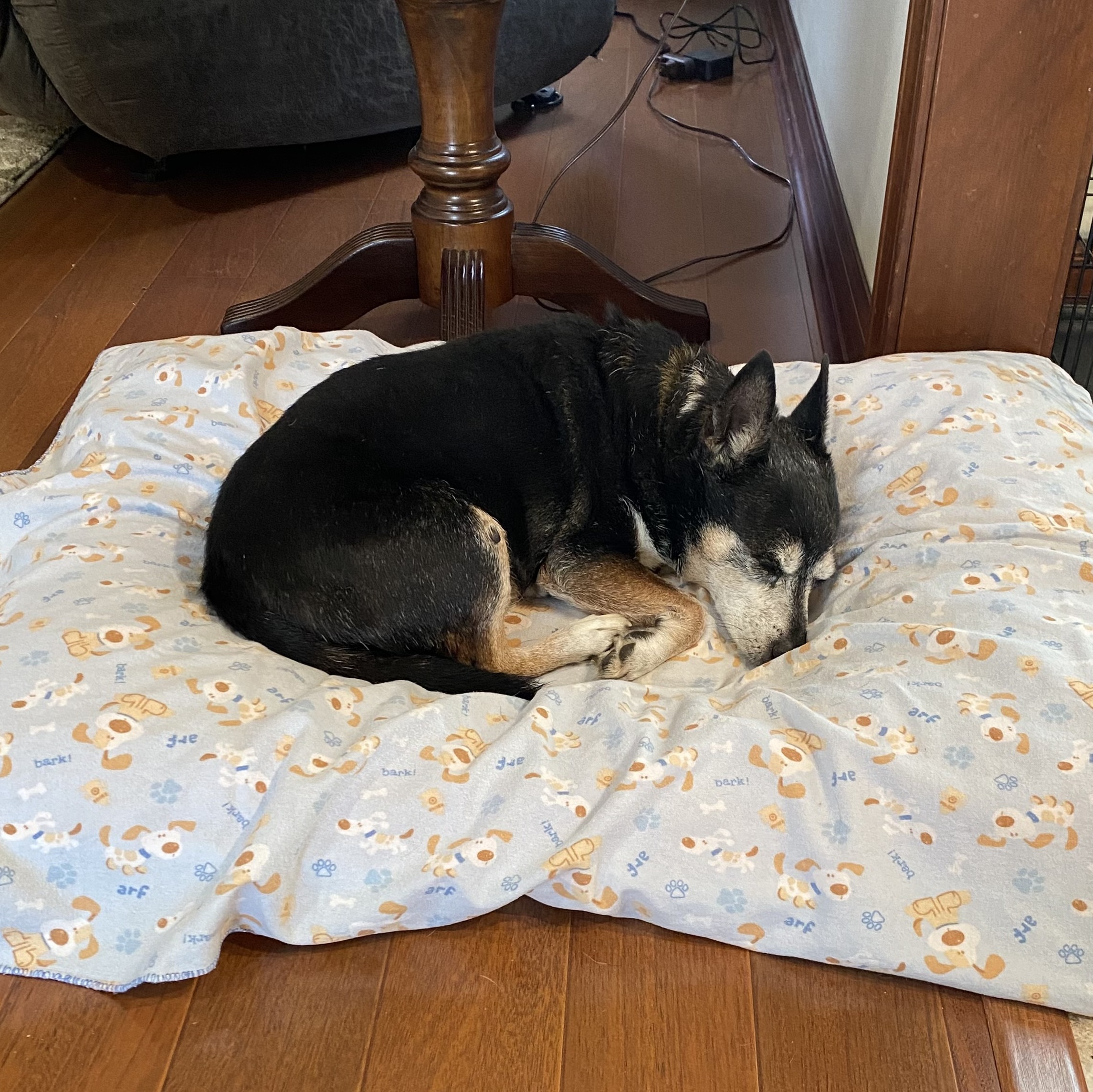 Qori — thumbnail 5