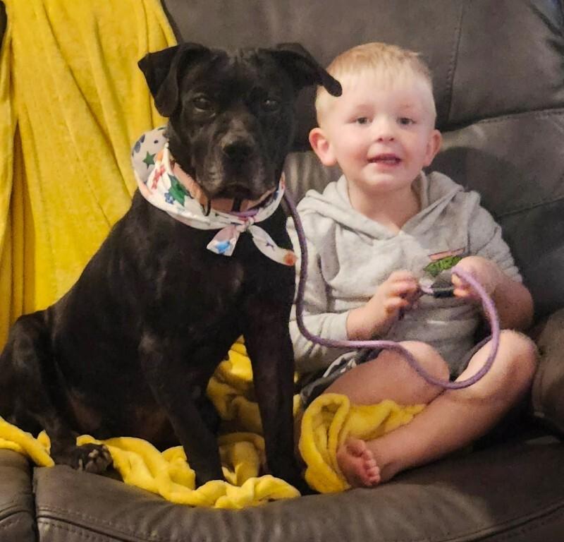 Blanche Nap Enthusiast — thumbnail 5