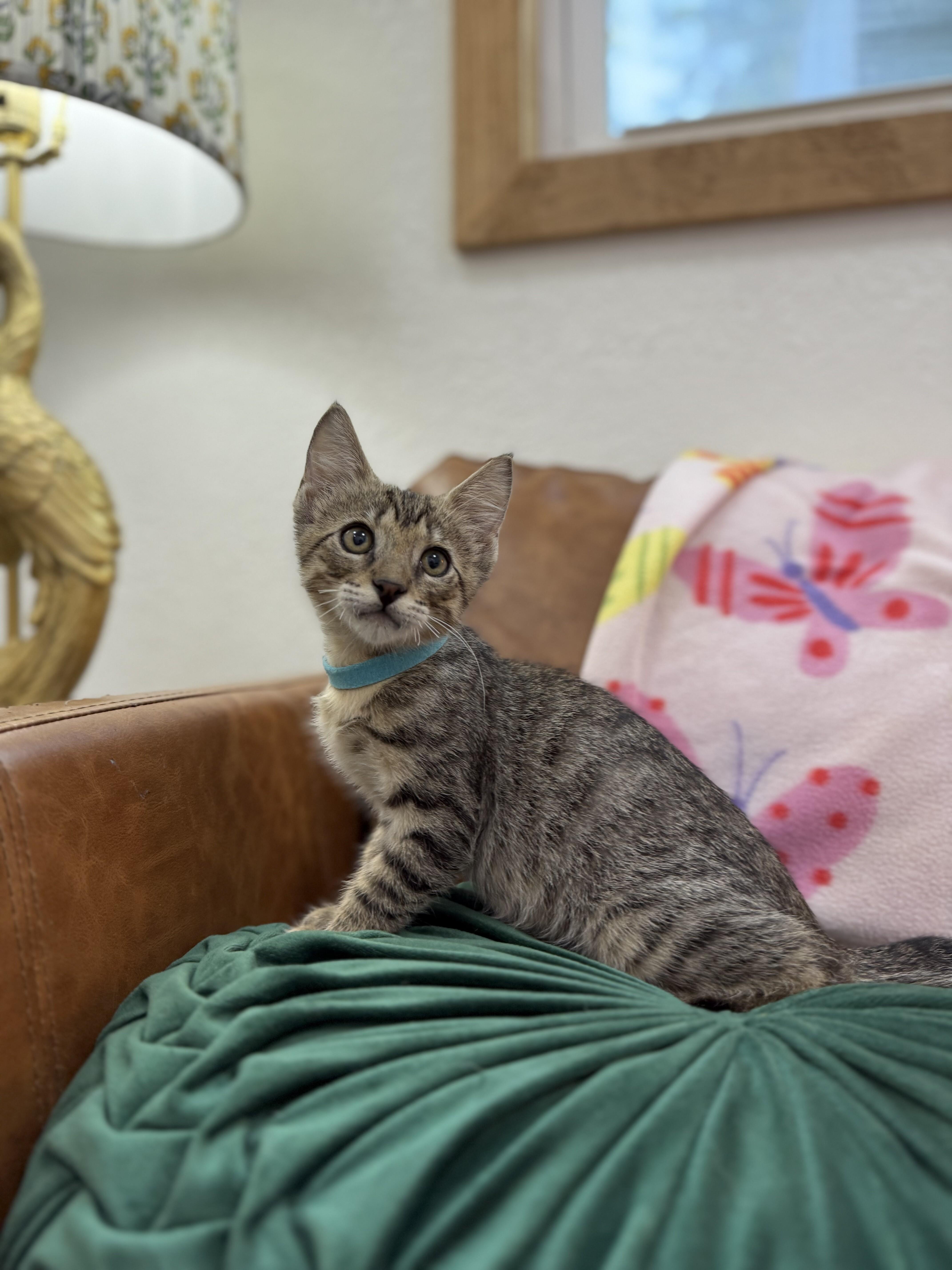 Jolly Rancher Candy 5