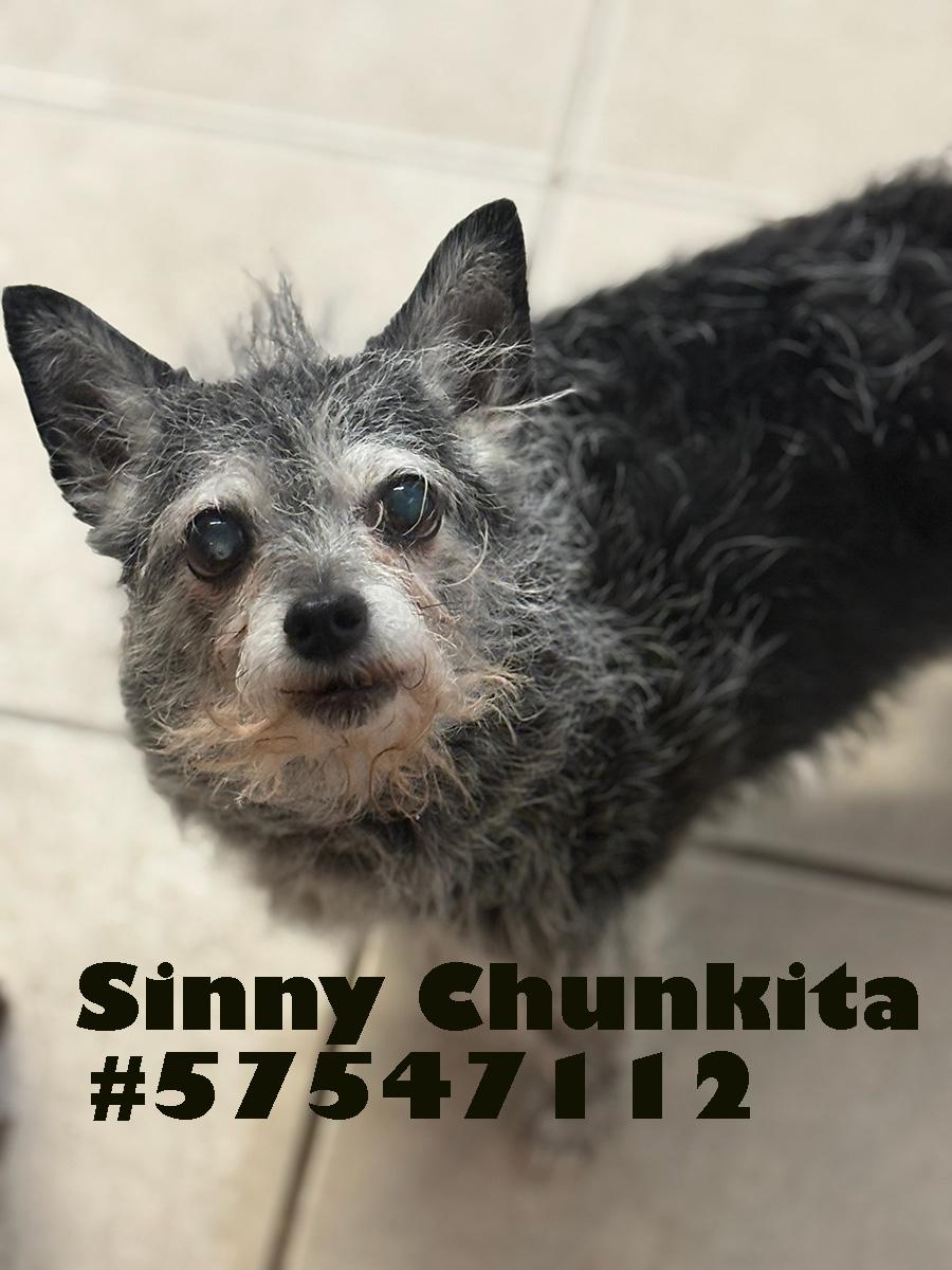 Sinny Chunkita