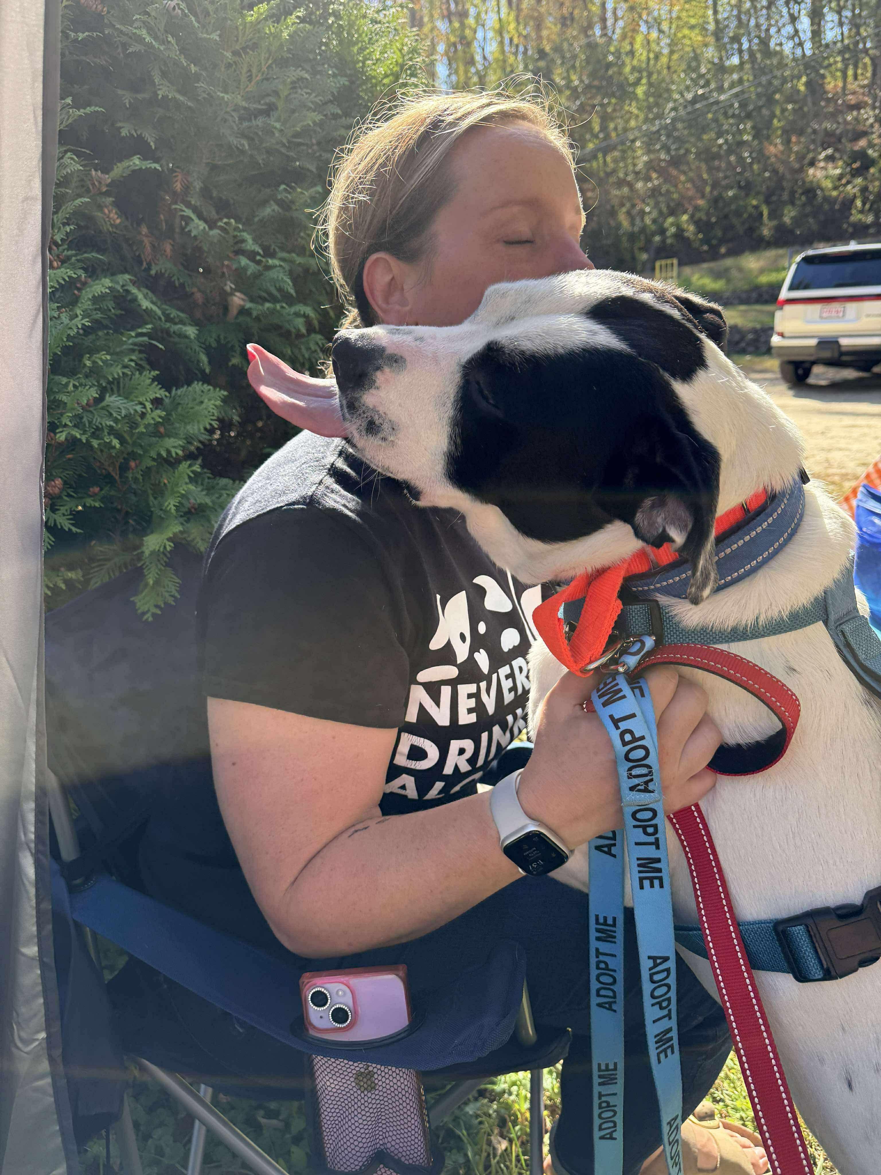 Enlarge Marino, a Adoptable mixed breed in New Boston, NH image 2/6