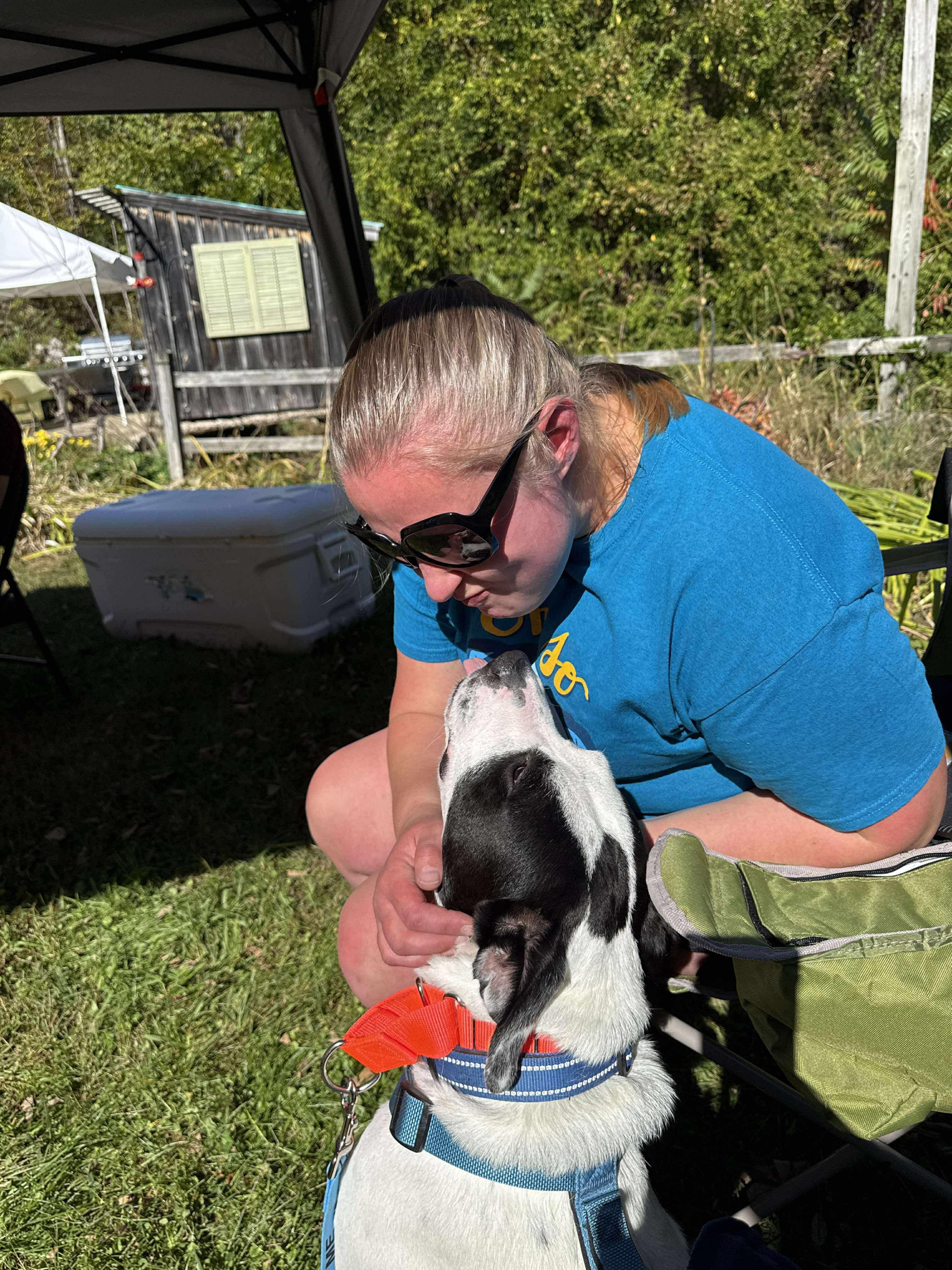 Enlarge Marino, a Adoptable mixed breed in New Boston, NH image 6/6