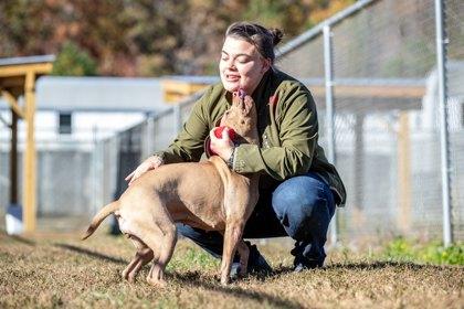 Gia, Adoptable, Adult Female Mixed Breed & Mixed Breed.