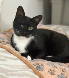 Chloe & Zara (mom & daughter)