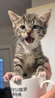 Chloe & Zara (mom & daughter)