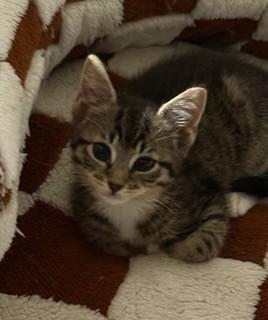 Chloe & Zara (mom & daughter)