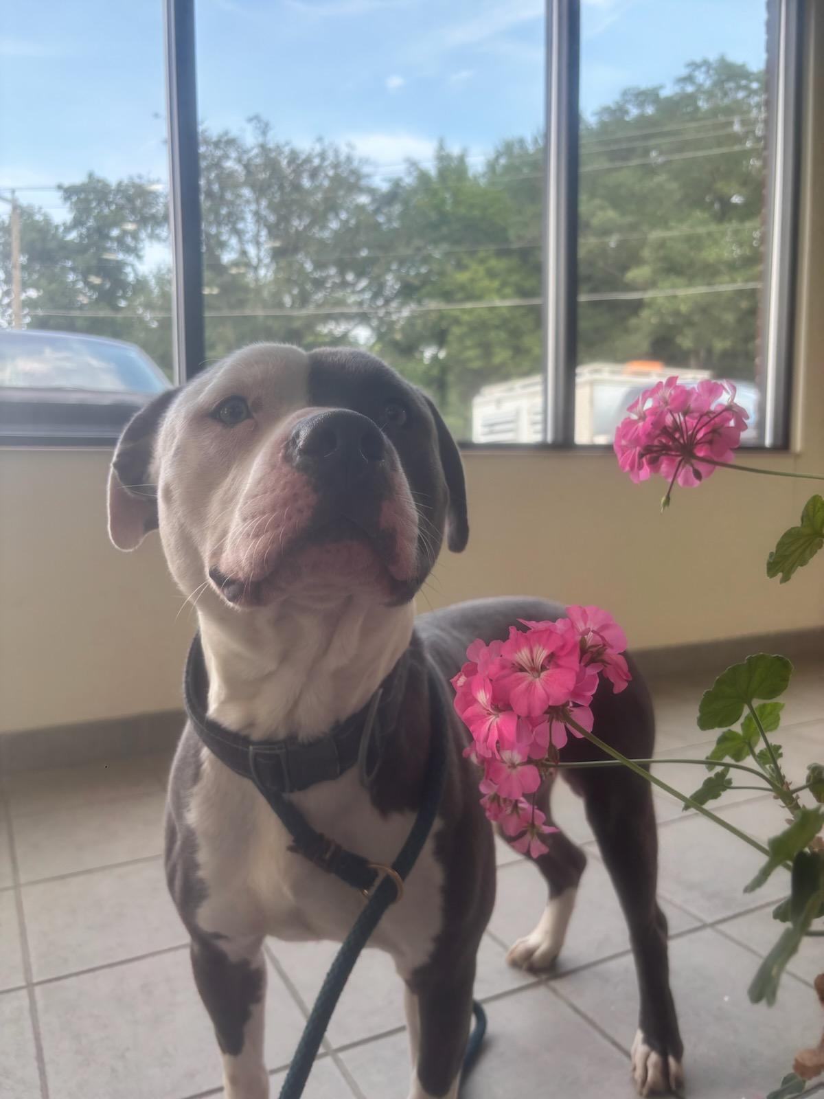 Carlos