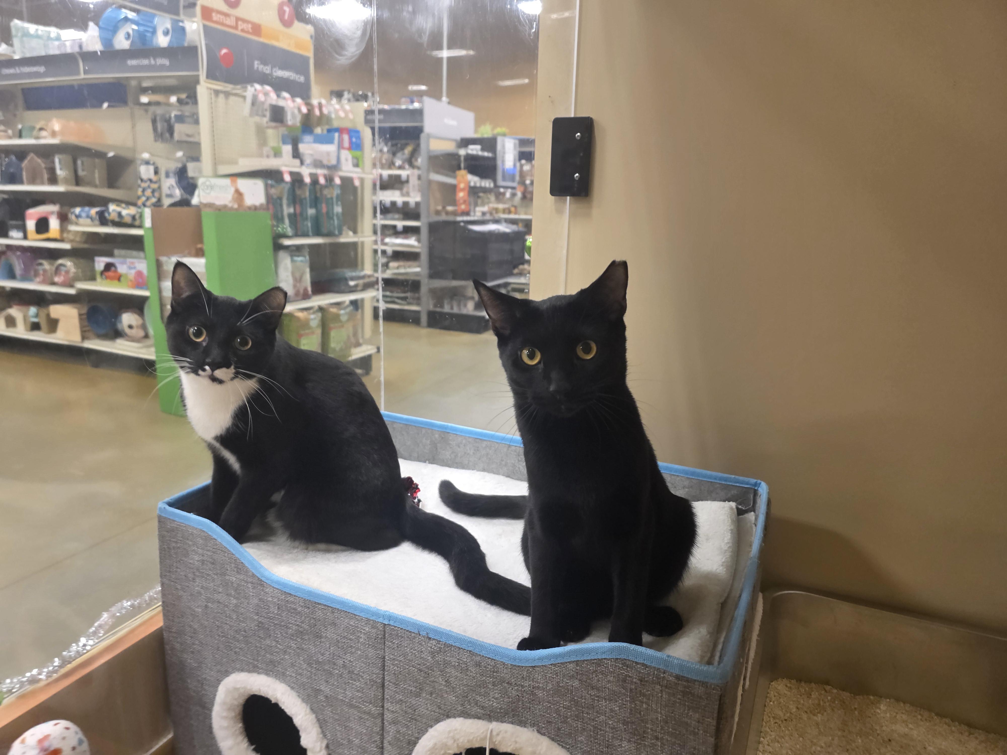 Meet Ryan & Riley thumbnail 5