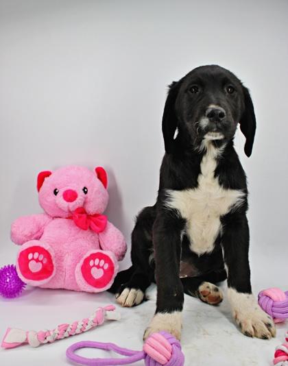 Imogene — thumbnail 2