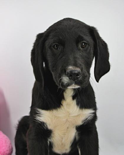 Imogene — thumbnail 3