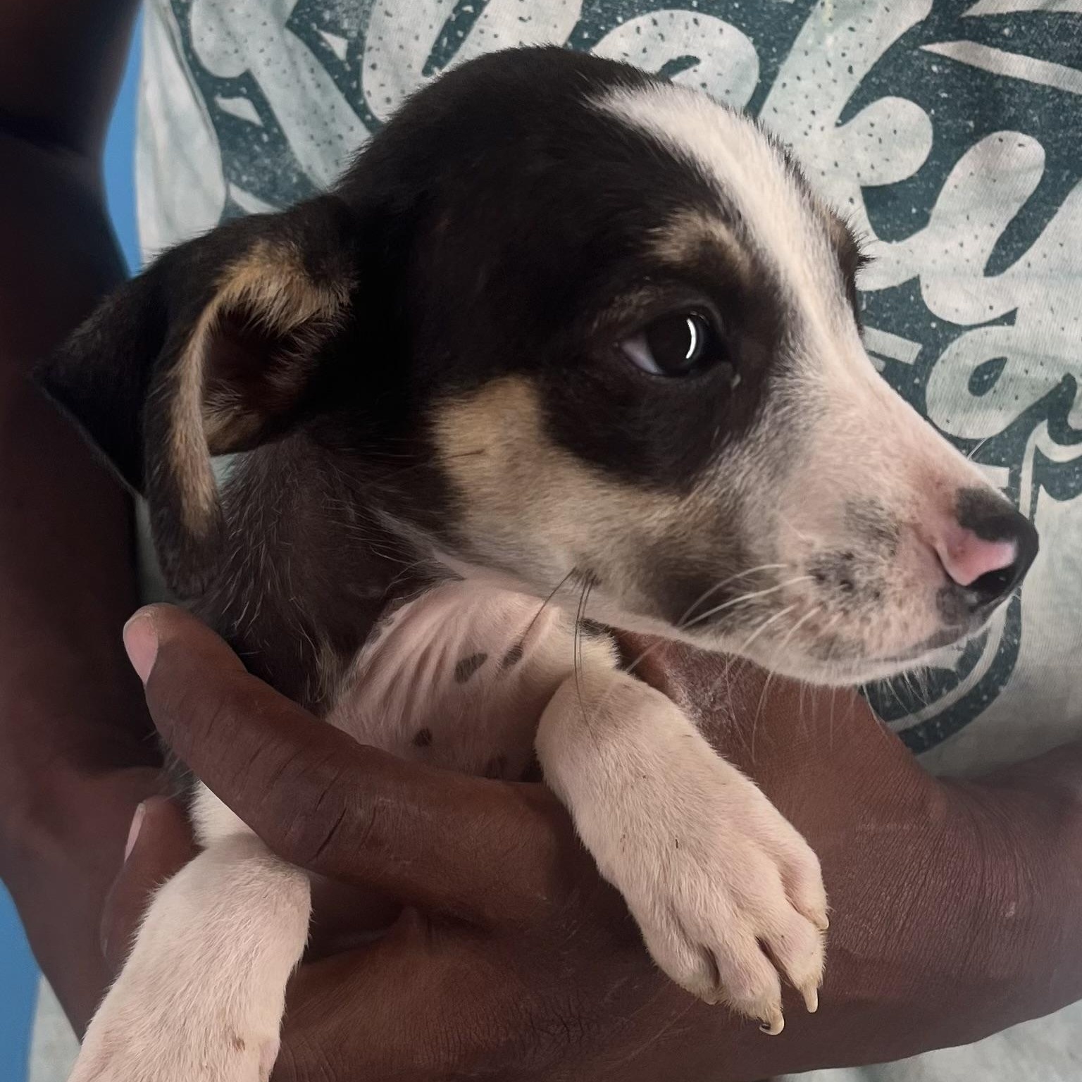 Vinnie - Local Sept 26-28