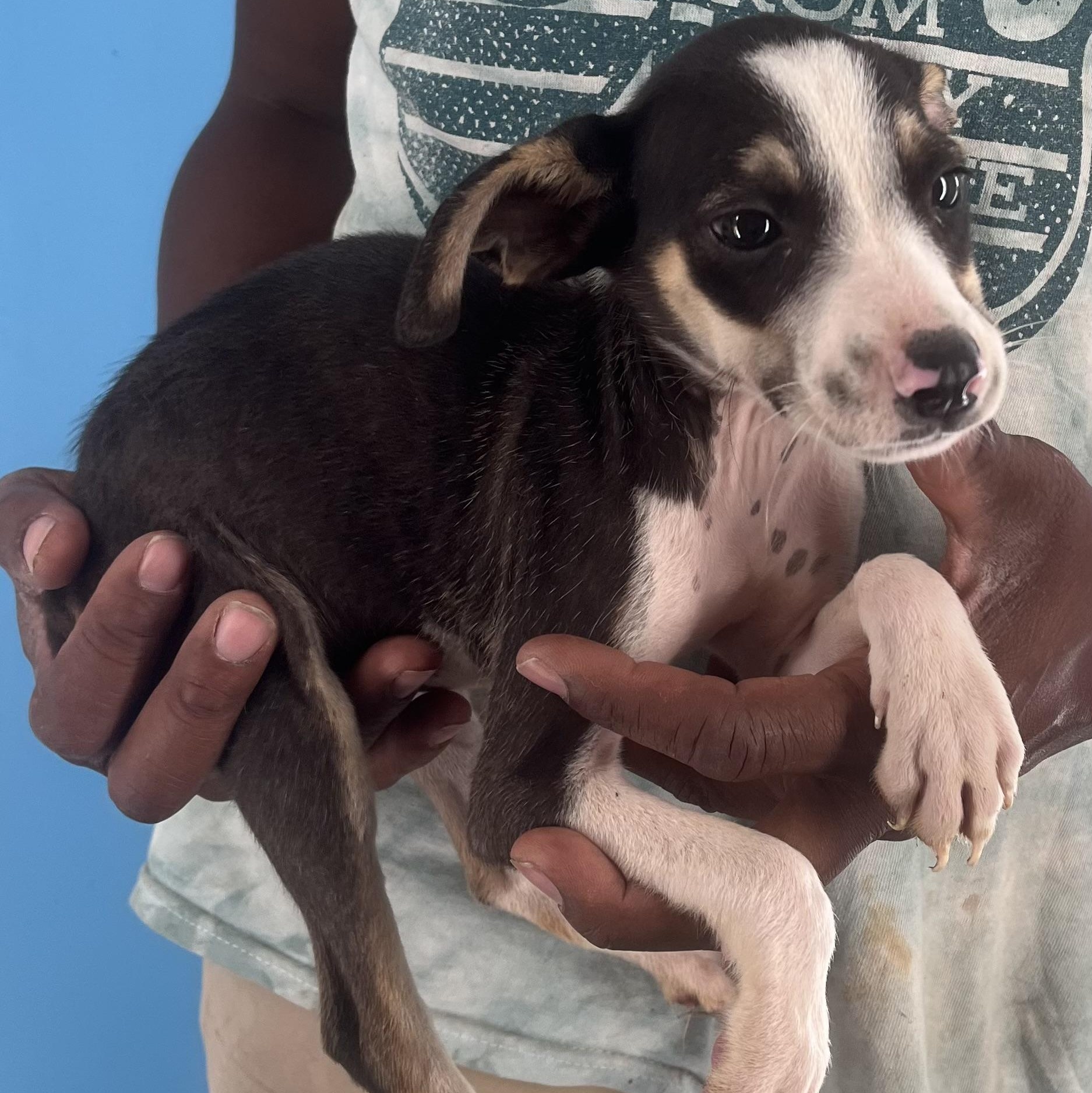 Vinnie - Local Sept 26-28