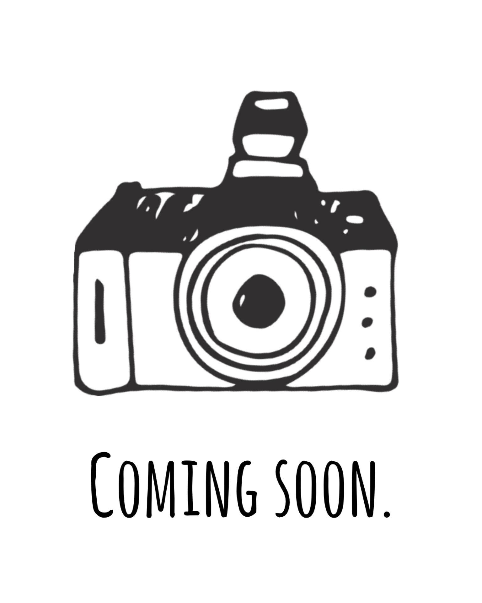 Emerald (F), a Adoptable Labrador Retriever in Nashville, TN image 1/3