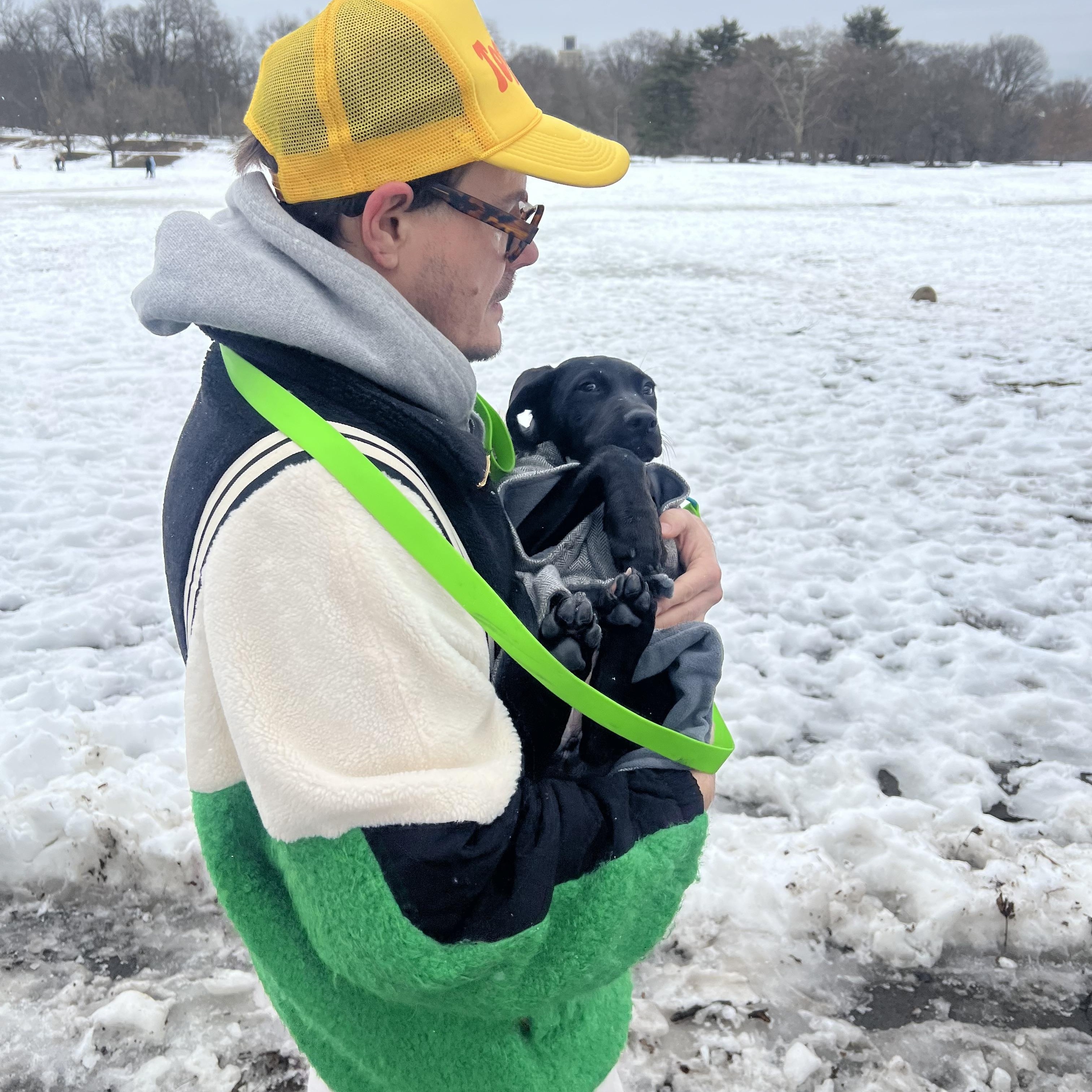 Enlarge Grace, an adopted mixed breed in New York , NY image 5/6