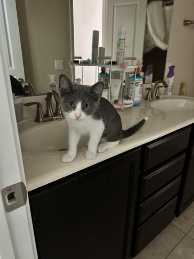 Barry Allen — thumbnail 2