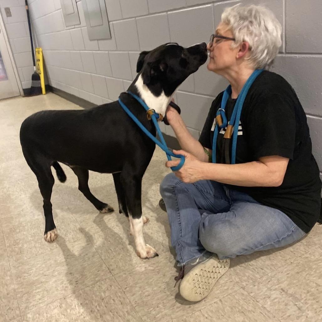 Enlarge Jordan 9670, a Adoptable Mixed Breed in Columbus, GA image 2/6