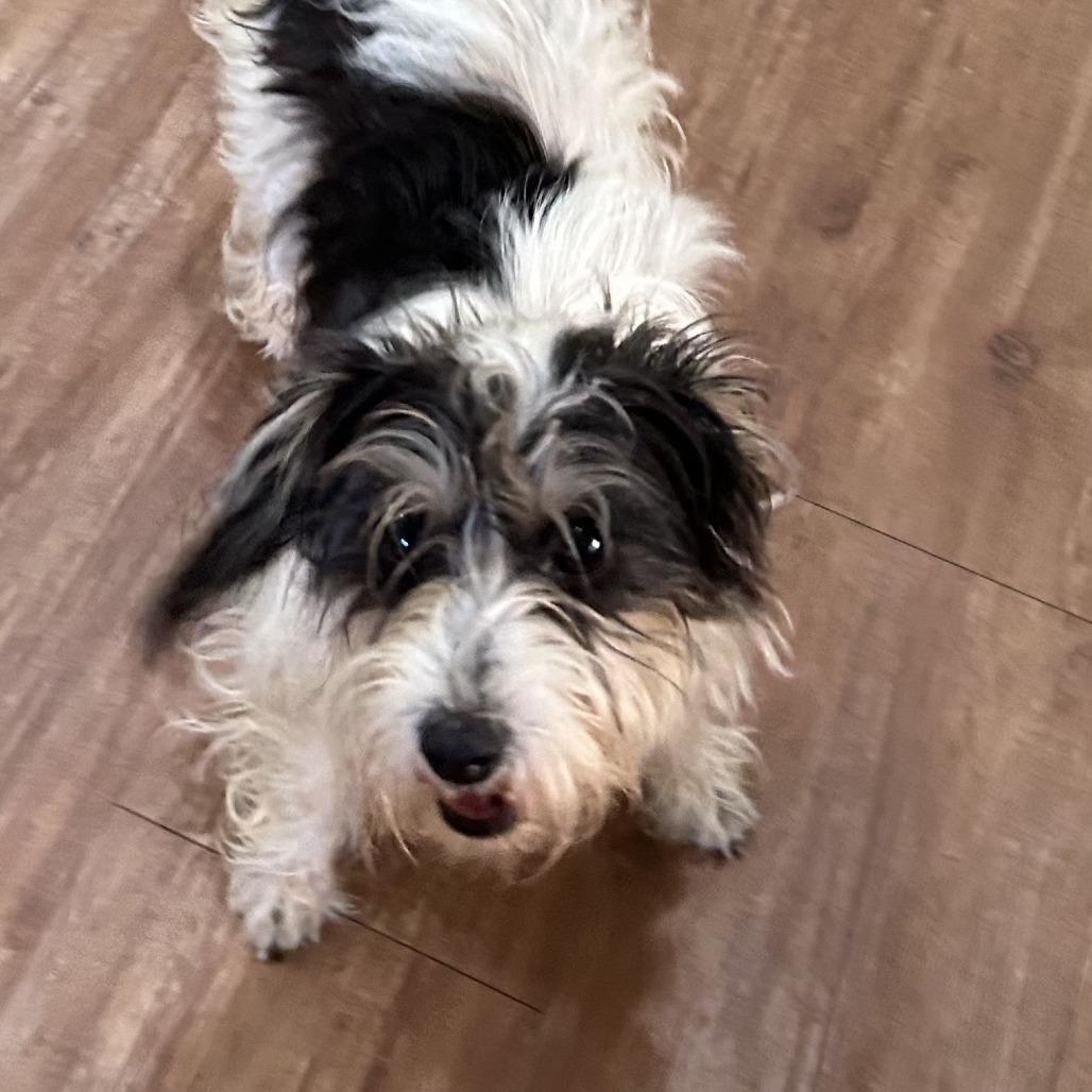 Keely Ann — thumbnail 2