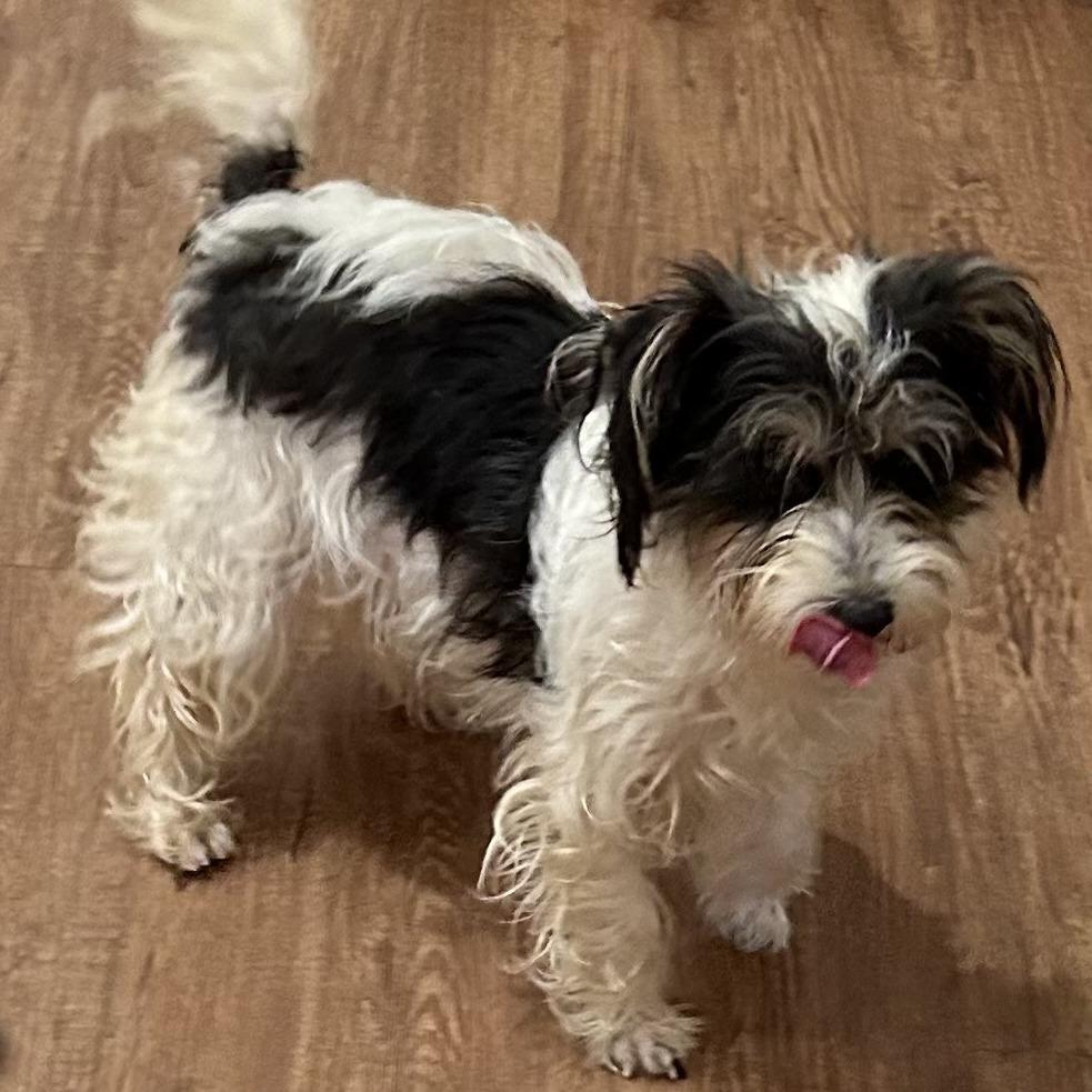 Keely Ann — thumbnail 3