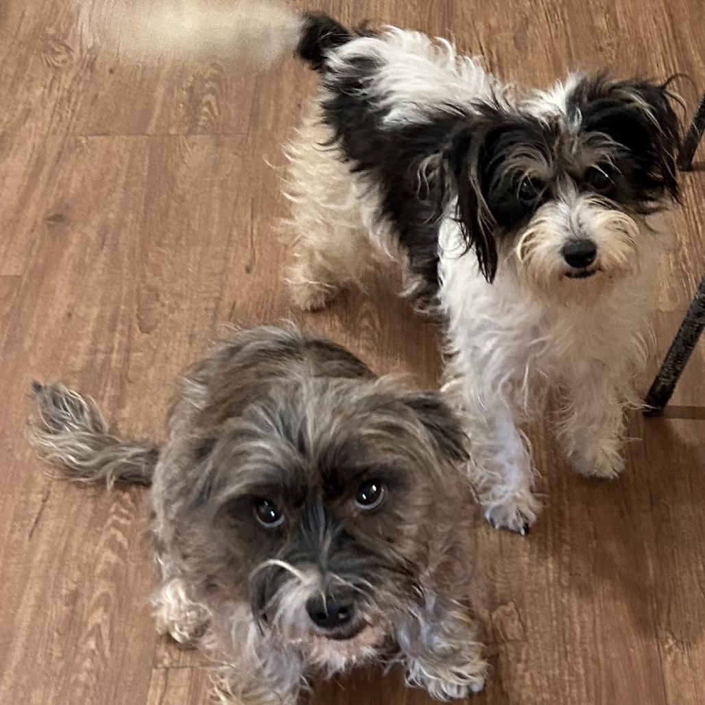 Keely Ann — thumbnail 4