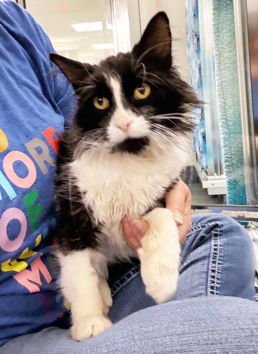 Rufus  Sooooo Affectionate thumbnail 2