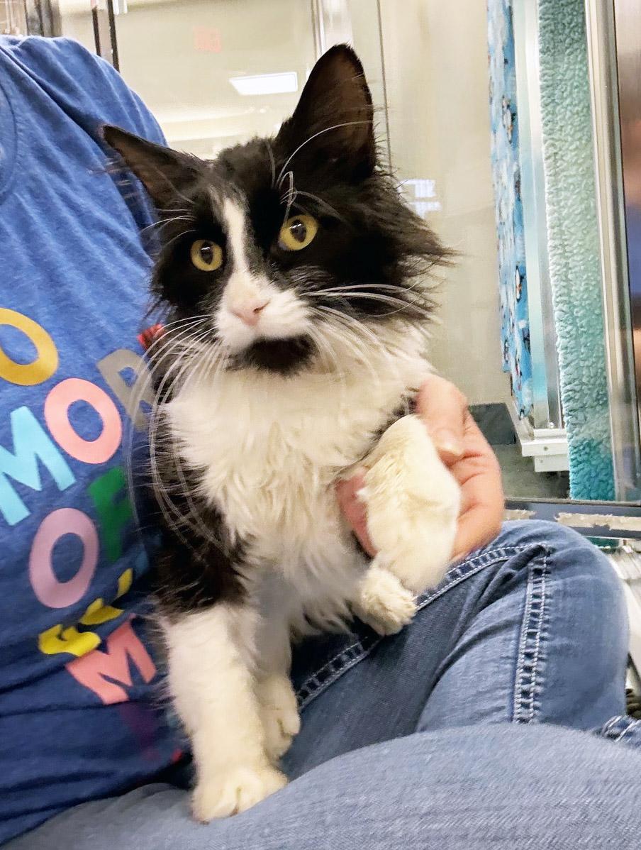 Rufus  Sooooo Affectionate thumbnail 4