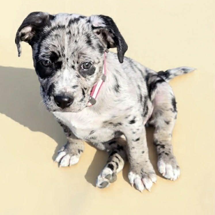 Naima — thumbnail 2