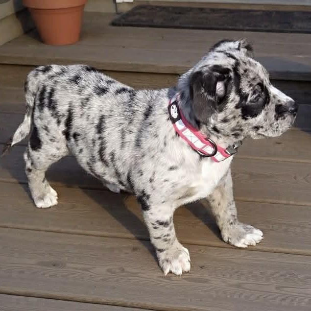 Naima — thumbnail 4