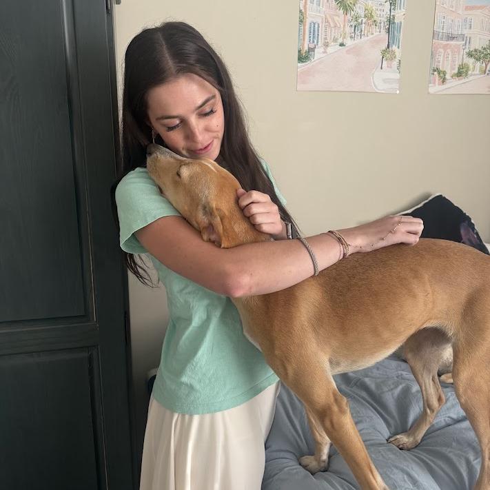 Enlarge June Bug, a Adoptable Hound in North Charleston, SC image 3/6