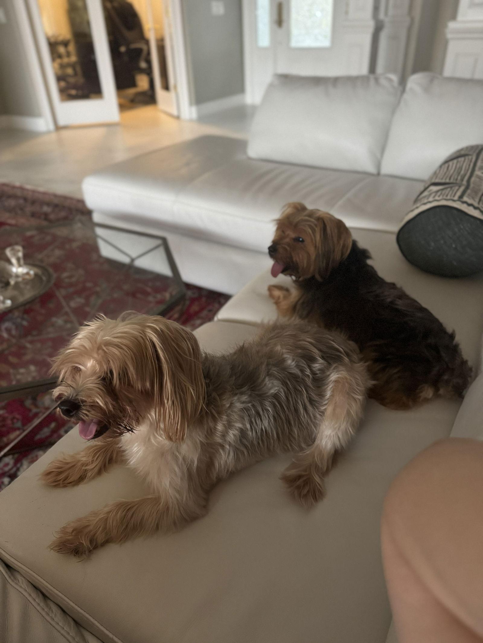 Lucy Bonded With Ethel thumbnail 2