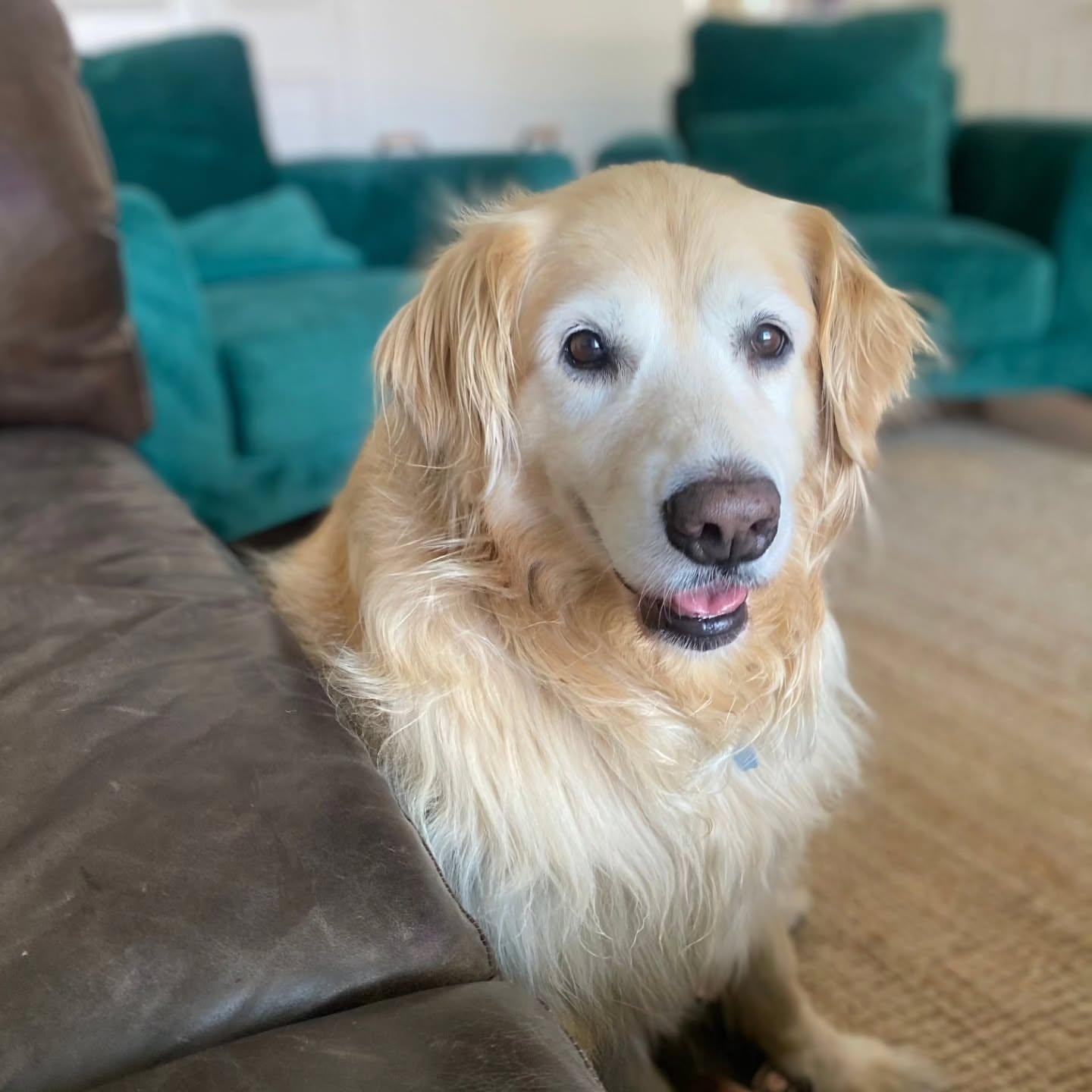 Hera